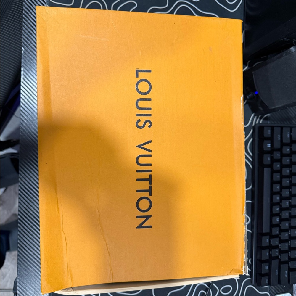 Louis Vuitton trainers